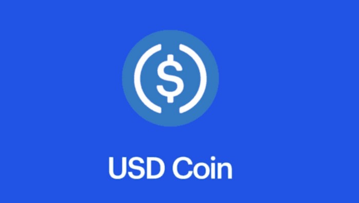 Монета USD